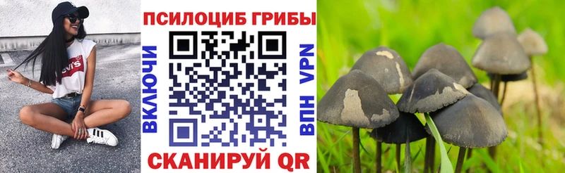 Псилоцибиновые грибы мицелий  Королёв 